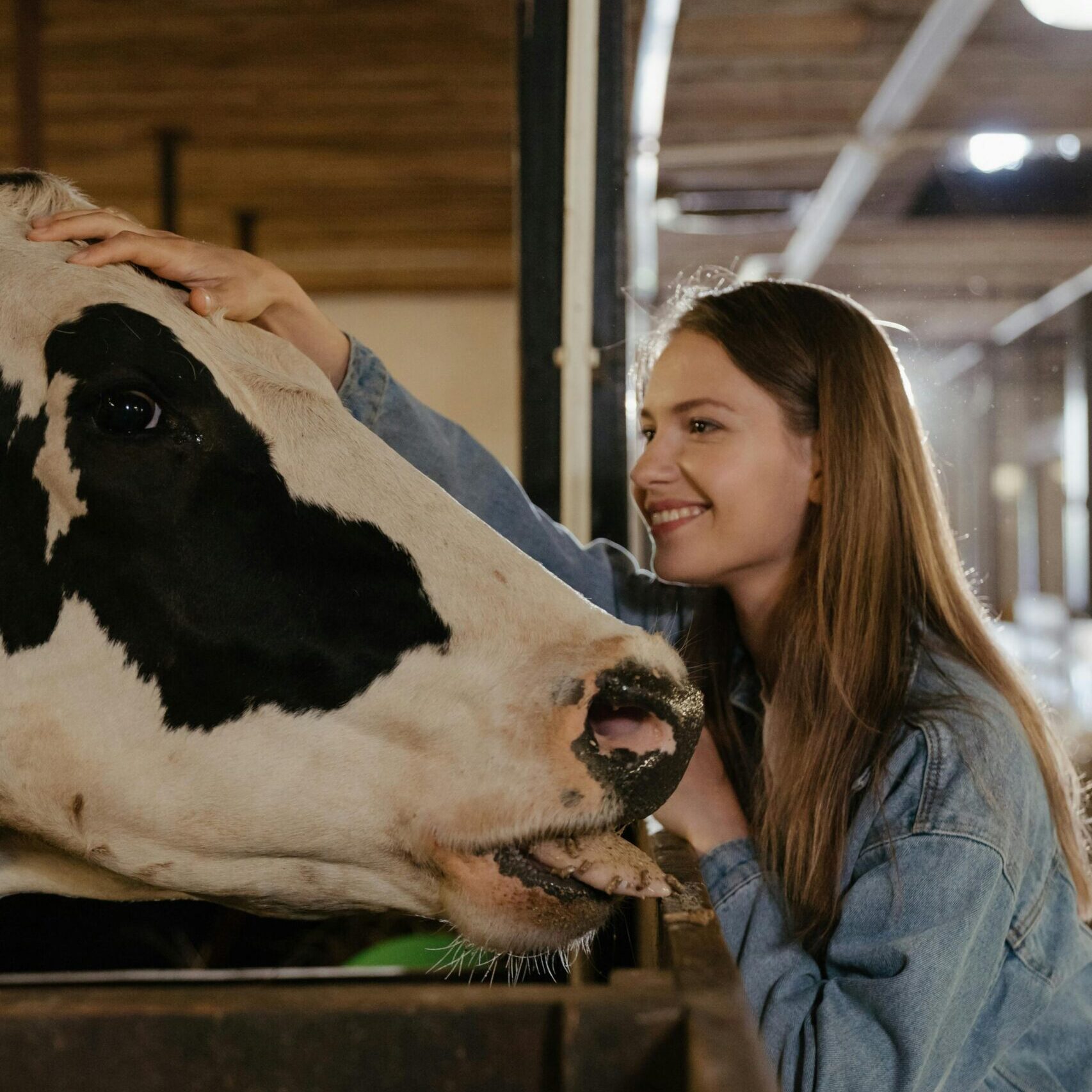 pexels-cottonbro-4910781