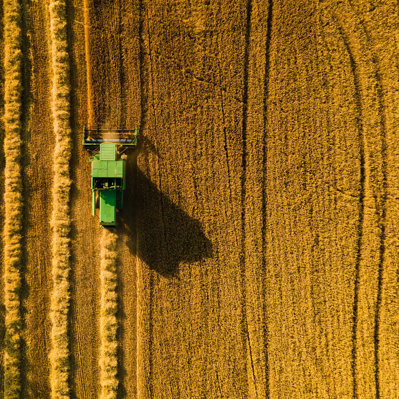 photo-1667406497887-437395f21d82