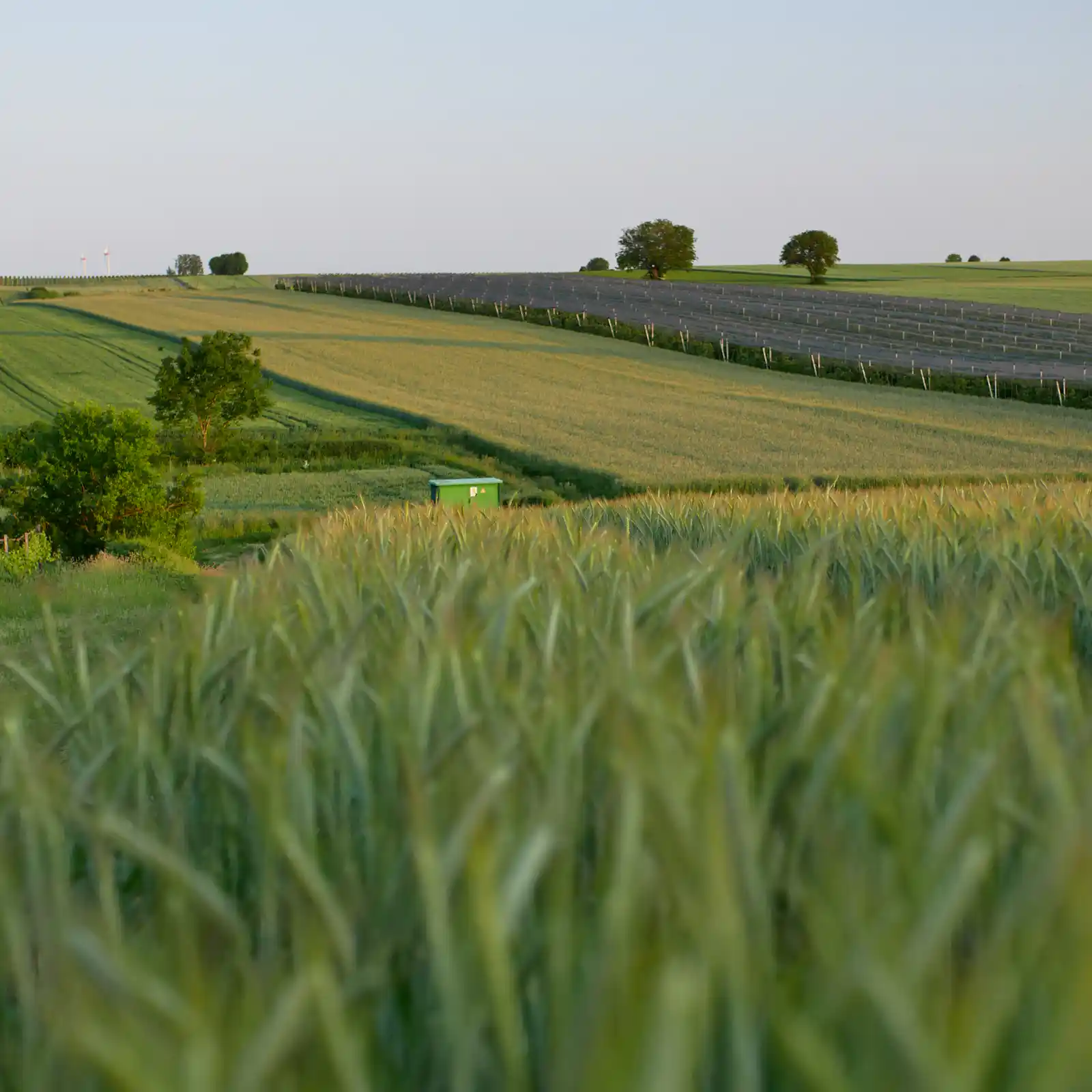 photo-1715632943973-61b6bb8df7cc